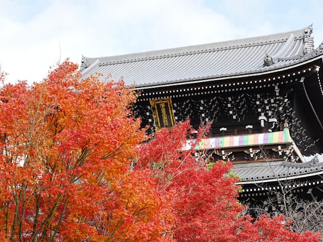 くろ谷 金戒光明寺 vol.21_お寺＆神社特集