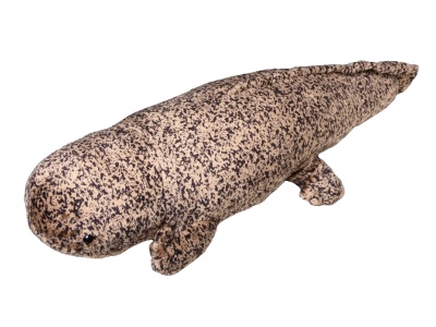 Stuffed Giant salamander 1430yen~