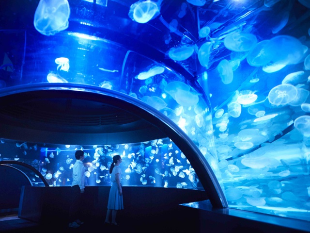 京都水族館_vol.21