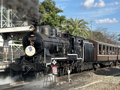 Board the train of dreams or feel like a driver in the simulator!