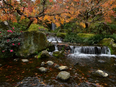 Suzaku-no-Niwa Garden