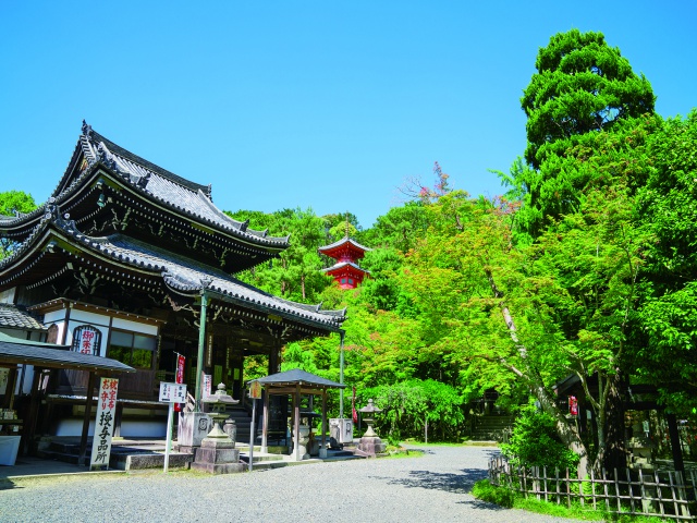 今熊野观音寺_vol.22_区域