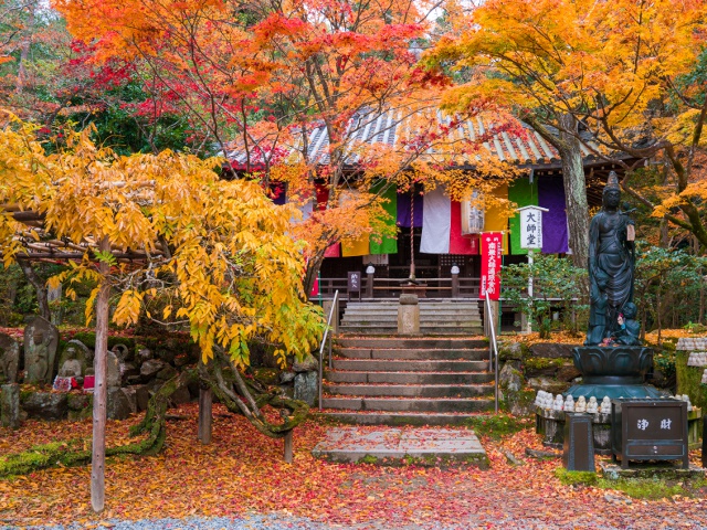今熊野観音寺_vol.23_伏見エリア