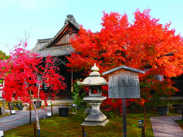 勝林寺_vol.23_伏見エリア