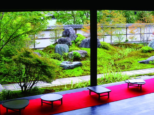 西来院 Vol22_エリア