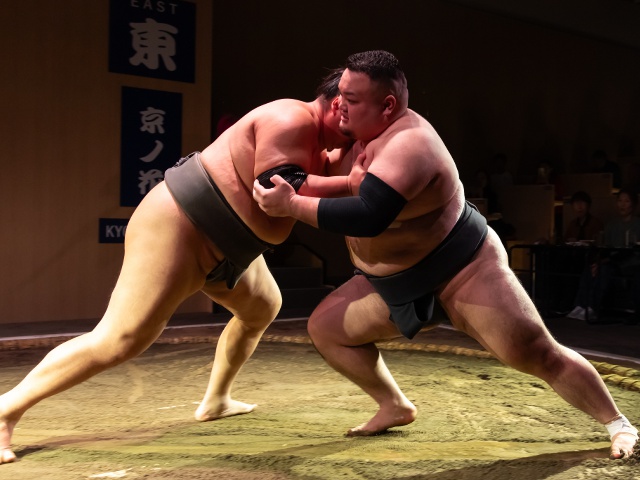 京都相撲部屋_vol.22_タイアップページ