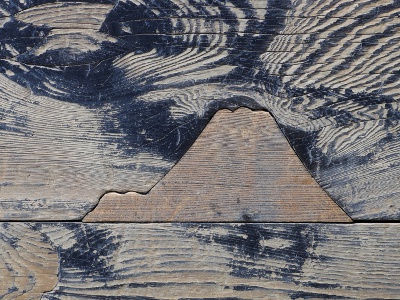 Let’s find “Umeki”!