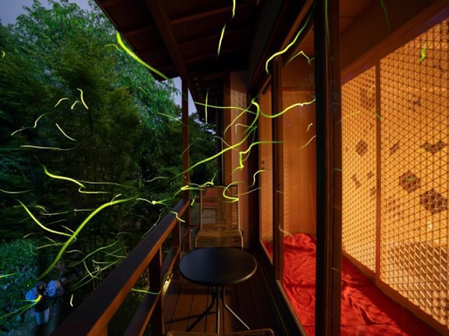 vol.22_金光院_タイアップ