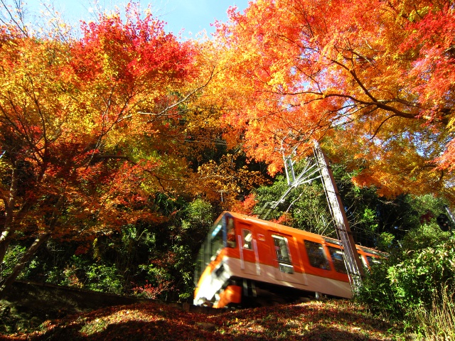 vol23_叡山電車_タイアップ