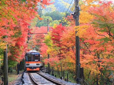 昼のえいでん～車窓に迫る紅葉に感動！～