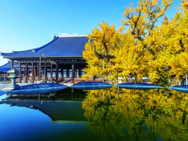 西本願寺_vol.23_京都駅エリア