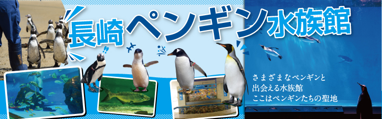 ペンギン水族館 vol3