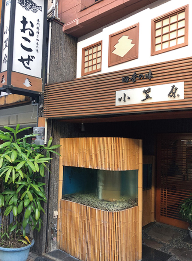小笠原 vol.7