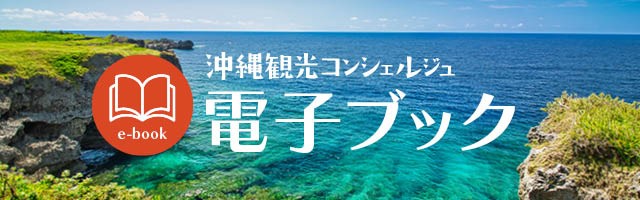 電子ブック版を読む