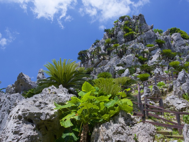 アスムイハイクス_沖縄vol.1_エリア