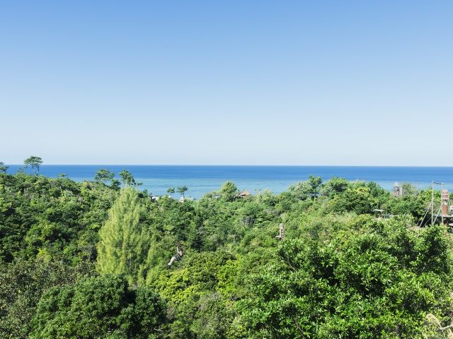 沖縄1_フォレストアドベンチャー恩納_体験したい