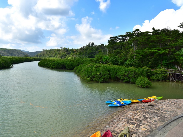 東村ふれあいヒルギ公園_沖縄vol.1_エリア