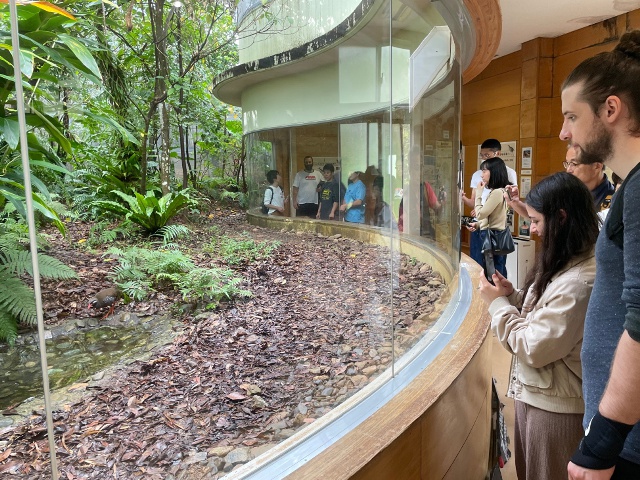 ヤンバルクイナ生態展示学習施設 「クイナの森」_沖縄vol.1_エリア