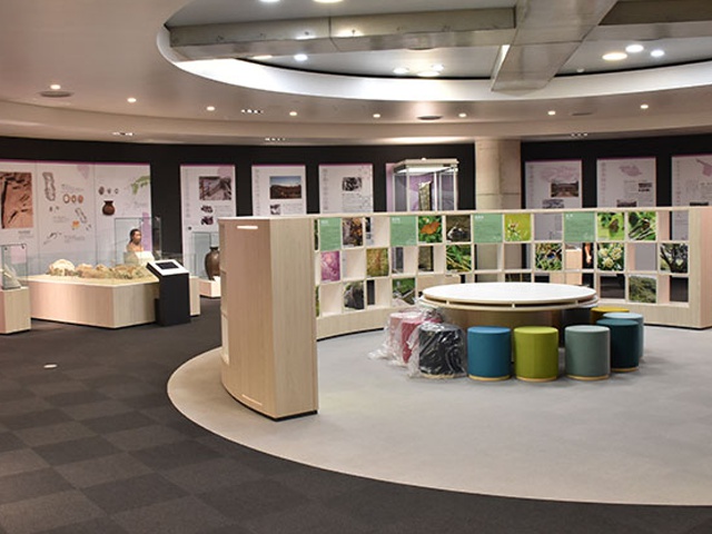 沖縄1_世界遺産座喜味城跡ユンタンザミュージアム