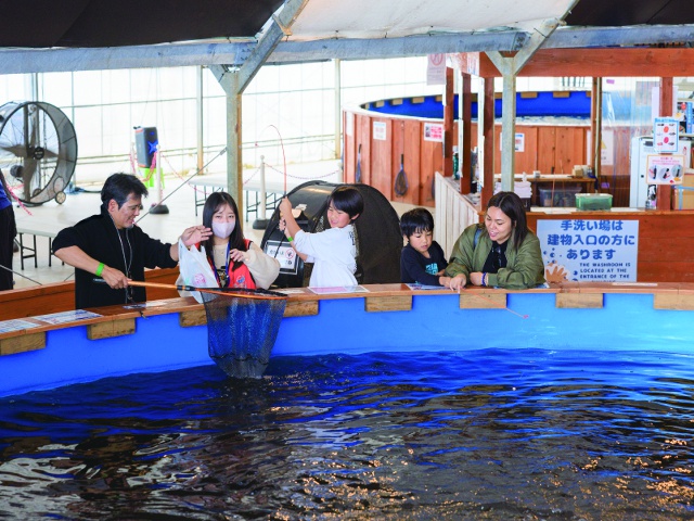 沖縄1_タイアップ_釣って見つけるぼうけんの国