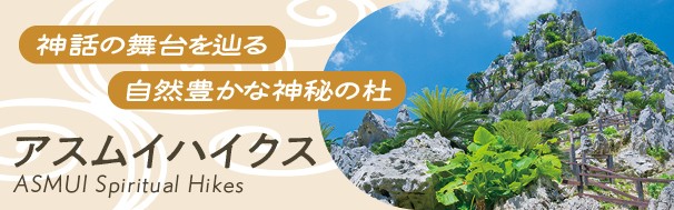 アスムイハイクス