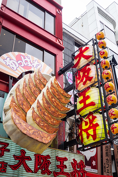 Fried Gyoza Dumplings at Osaka Osho