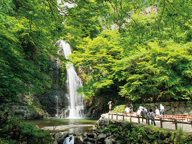 明治の森箕面国定公園（箕面大滝）　vol.10　巻頭特集