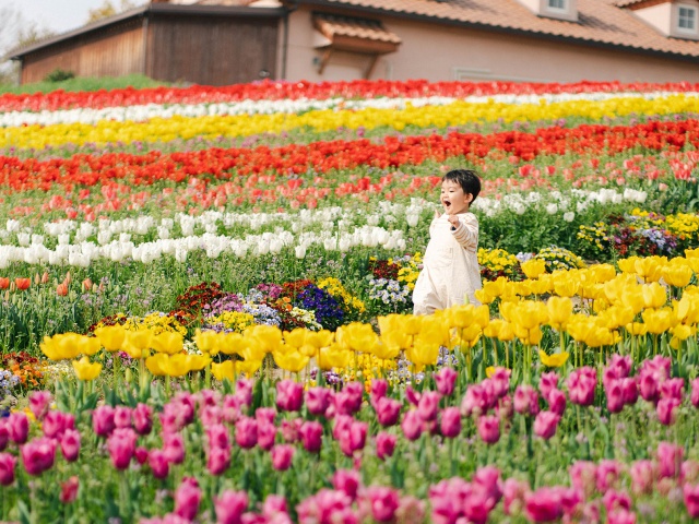 Sakai Green Museum Harvest Hill vol.14_Southern Osaka Area
