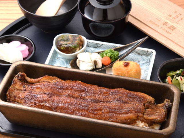 Vol. 15_Unagi Yondaime Kikukawa Hilton Plaza West Osaka Branch_I want to go