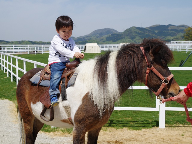 World Ranch vol.14_Southern Osaka area