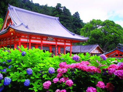 山門を見上げる境内には、季節の花が咲き誇る。