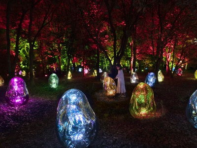 In “Dusk to Dawn / Resonating Microcosms in the Common Camellia Garden - Solidified Light Color, Dusk to Dawn,” ovoids arranged in a forest glow in their own colors, creating a fantastical world.