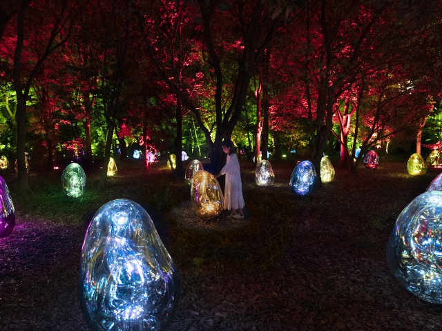 チームラボ ボタニカルガーデン 大阪_vol.14_体験したい